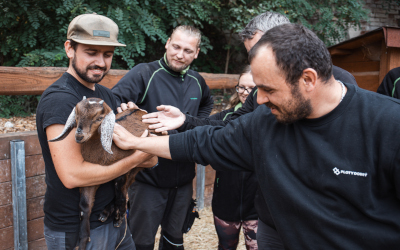 VIP prohlídky – Farmapark u Toma